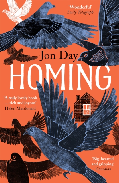 Homing : On Pigeons, Dwellings and Why We Return