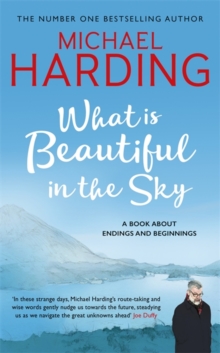 What is Beautiful in the Sky : A book about endings and beginnings