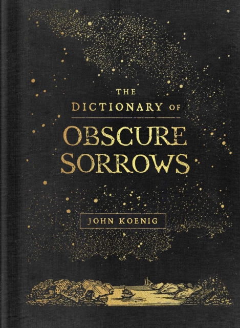 The Dictionary of Obscure Sorrows (Hardback)