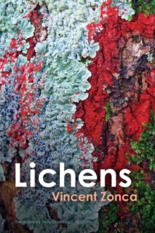 Lichens: Toward a Minimal Resistance (Hardback)