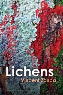 Lichens: Toward a Minimal Resistance (Hardback)