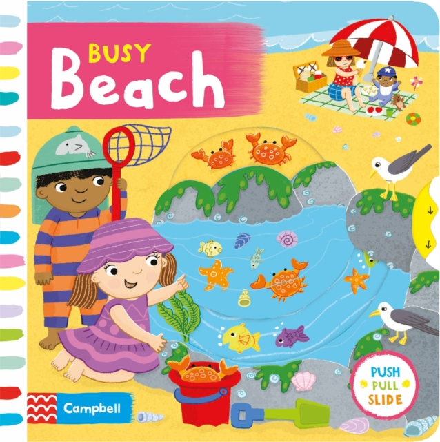Busy Beach (Board Books)