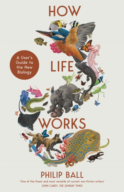 How Life Works : A User's Guide to the New Biology (Hardback)