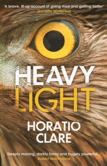 Heavy Light : A Journey Through Madness, Mania and Healing