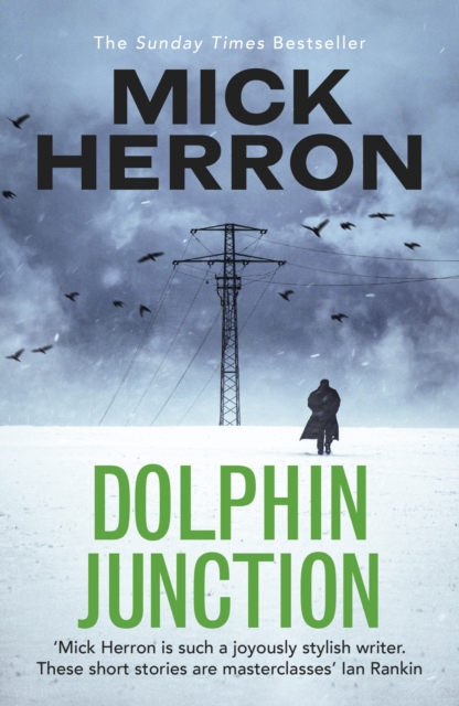 Dolphin Junction (Paperback)