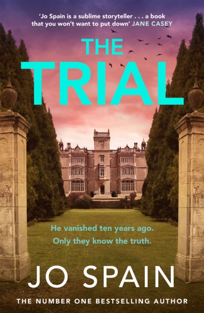 The Trial : the new gripping page-turner from the author of The Perfect Lie 