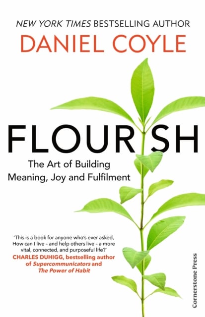 Flourish : The Art of Building Meaning, Joy and Fulfilment (Hardback)