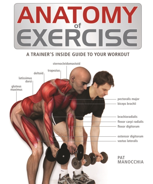 Anatomy of Exercise : A Trainer's Inside Guide to Your Workout