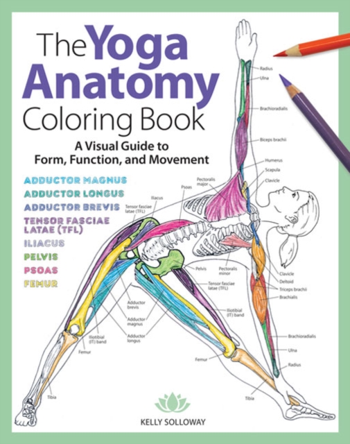 The Yoga Anatomy Coloring Book : A Visual Guide to Form, Function, and Movement