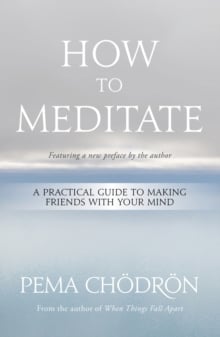 How to Meditate : A Practical Guide to Making Friends with Your Mind