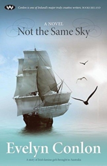 Not the Same Sky : A novel