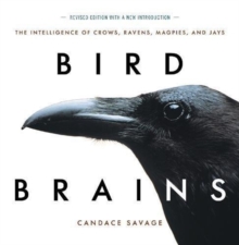 Bird Brains : The Intelligence of Crows, Ravens, Magpies, and Jays