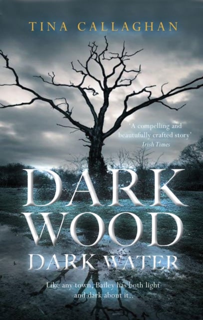 Dark Wood Dark Water (Irish Thriller)