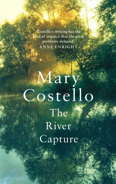 Mary Costello : The River Capture (Hardback)
