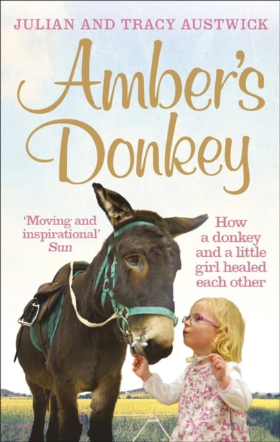 Amber's Donkey : How a donkey and a little girl healed each other