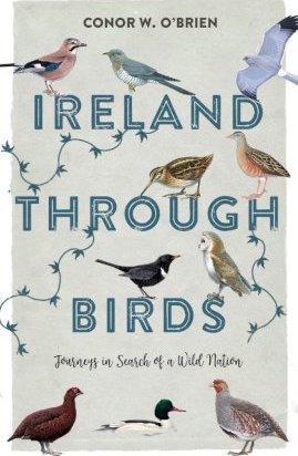 Ireland Through Birds : Journeys in Search of a Wild Nation