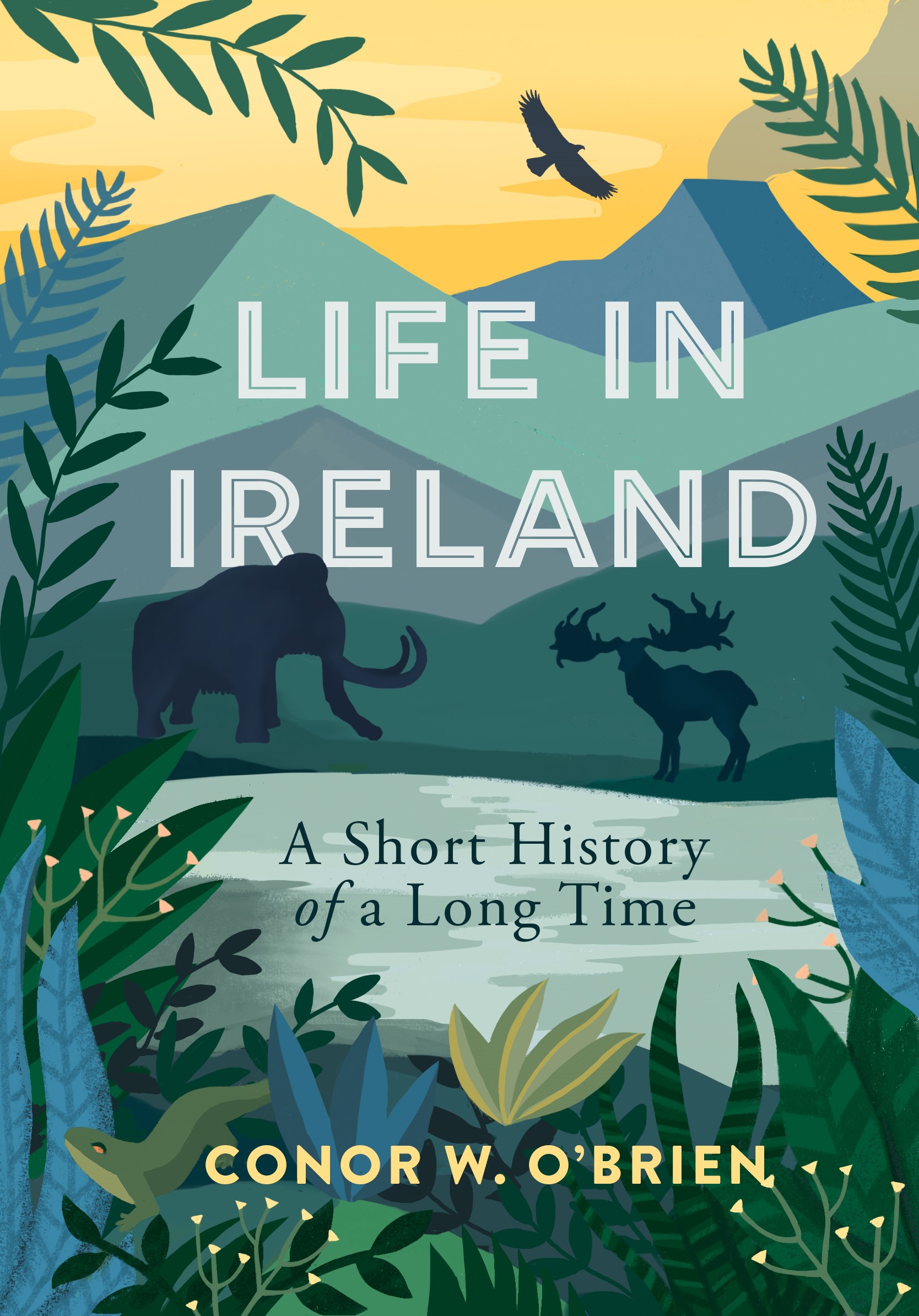 Life in Ireland: A Short History of a Long Time