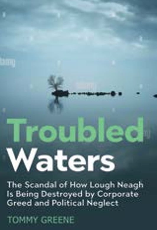 Troubled Waters : The Scandal of How Lough Neagh Is Being Destroyed by Corporate Greed and Political Neglect