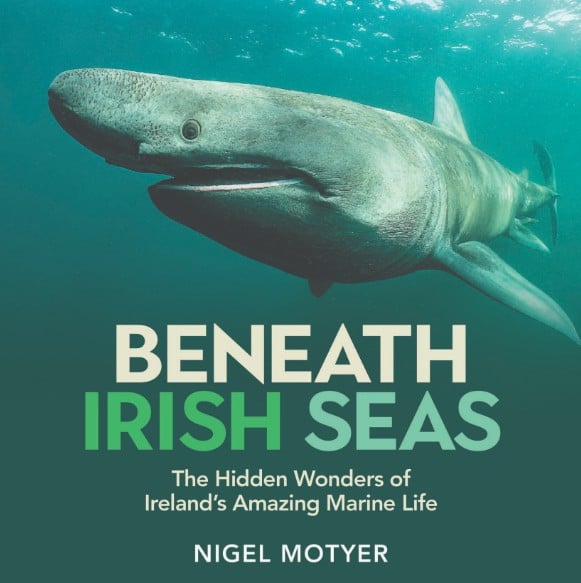 Beneath Irish Seas : The Hidden Wonders of Ireland’s Amazing Marine Life (Hardback)