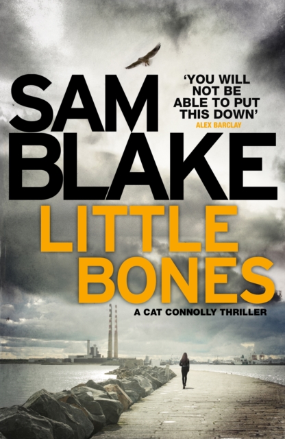 Little Bones (Irish Crime Thriller)