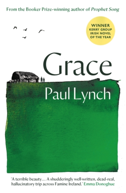 Grace (An Irish Historical Fiction)