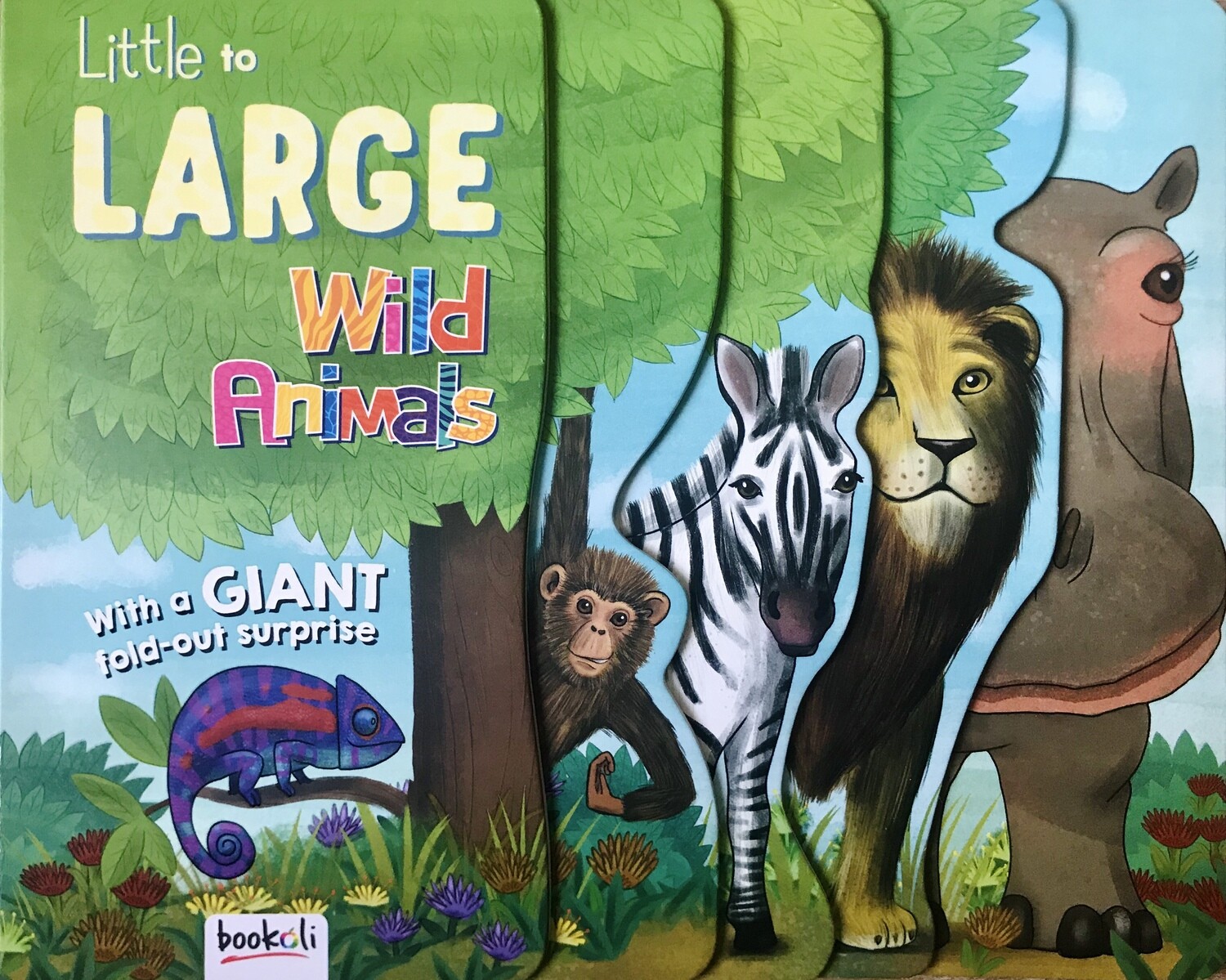 Wild Animals : Little to Large