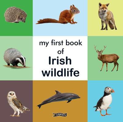 My First Book of Irish Wildlife (Board Book)