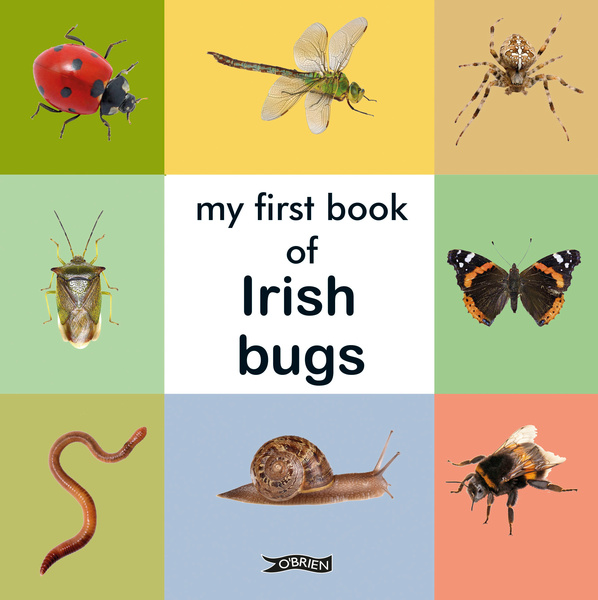 My First Book of Irish Bugs (Board Book)