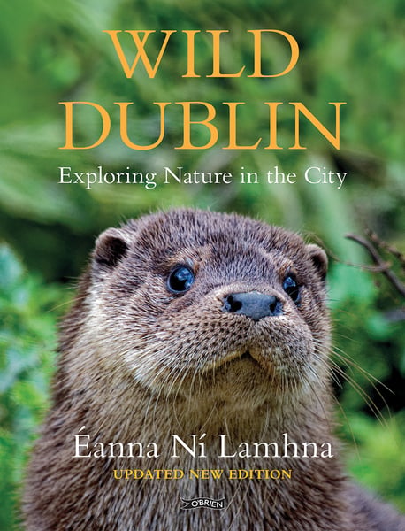 Wild Dublin : Exploring Nature in the City (Hardback)