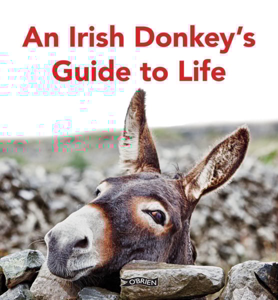 An Irish Donkey&rsquo;s Guide to Life (Hardback)