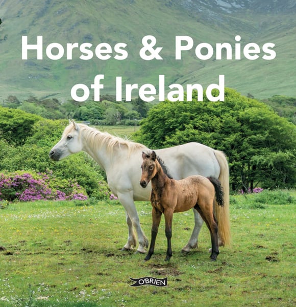 Horses and Ponies of Ireland (Hardback)