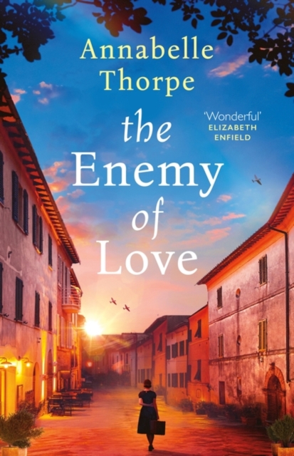 The Enemy of Love (Paperback)