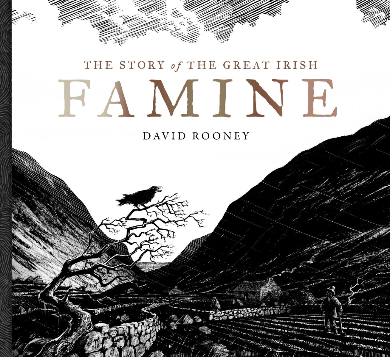 The Story of the Great Irish Famine (Hardback)