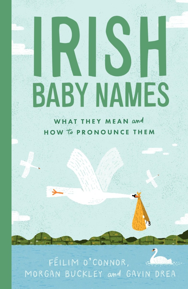 Irish Baby Names : What they mean and how to pronounce them (Hardback)