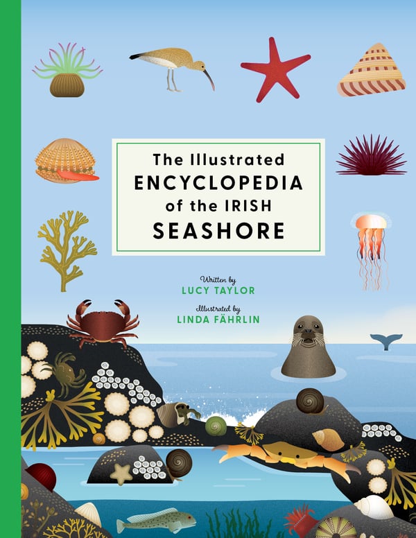 The Illustrated Encyclopedia of the Irish Seashore (Hardback)