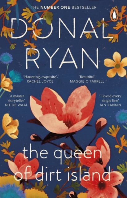 Donal Ryan : The Queen of Dirt Island (Hardback)