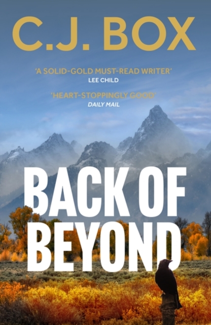 Back of Beyond (A Cassie Dewell Thriller)