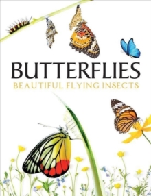 Butterflies : Beautiful Flying Insects