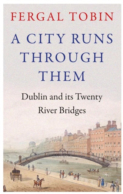 A City Runs Through Them : Dublin and its Twenty River Bridges (Hardback)
