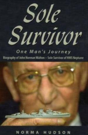 Sole Survivor : One Man's Journey