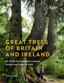 Great Trees of Britain and Ireland : Over 70 of the best ancient avenues, forests and trees to visit