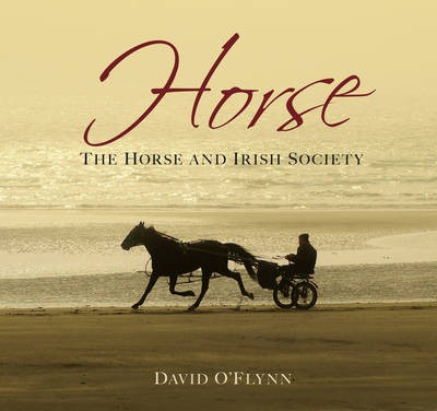The Horse and Irish Society