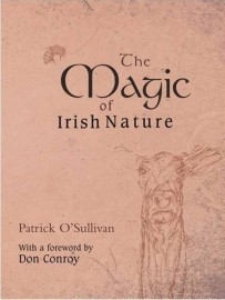 The Magic of Irish Nature