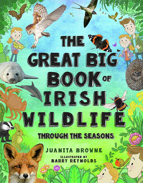 The Great Big Book of Irish Wildlife : Through the Seasons (Hardback)