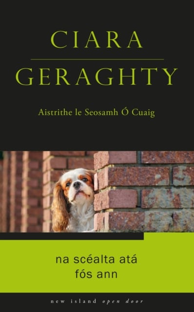 Ciara Geraghty : Na Scealta Ata Fos Ann Nua (Open Door Series)
