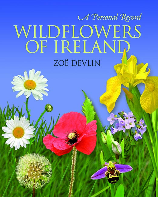 Wildflowers of Ireland (Hardback)