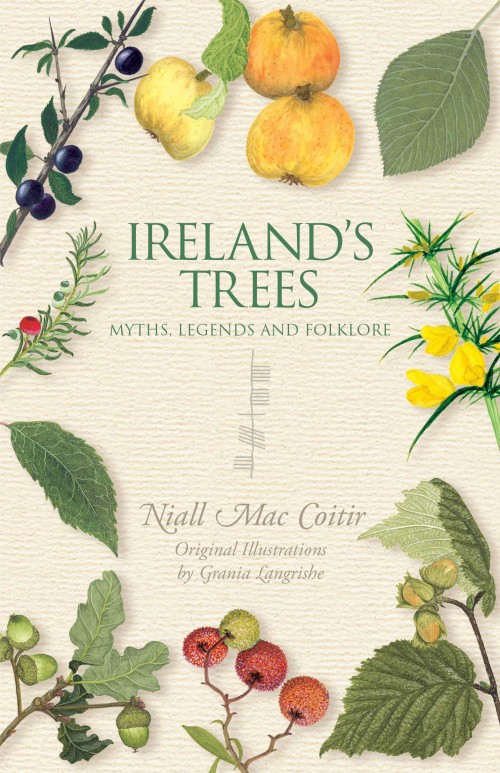 Ireland's Trees: Myths, Legends and Folklore