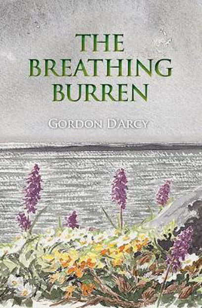 The Breathing Burren (Hardback)