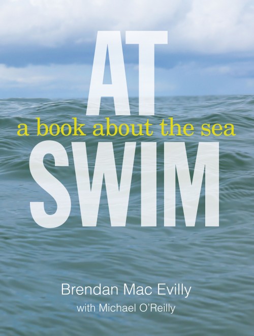 At Swim : A Book about the Sea