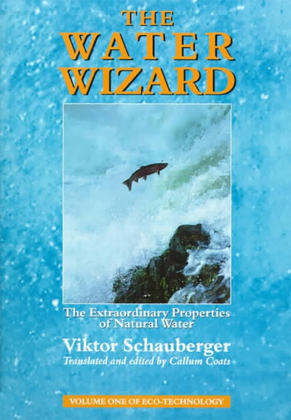 The Water Wizard: The Extraordinary Properties of Natural Water (Eco-Technology Book 1)